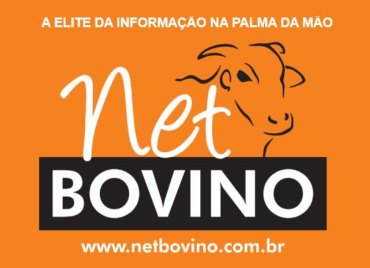 NetBovino - IA